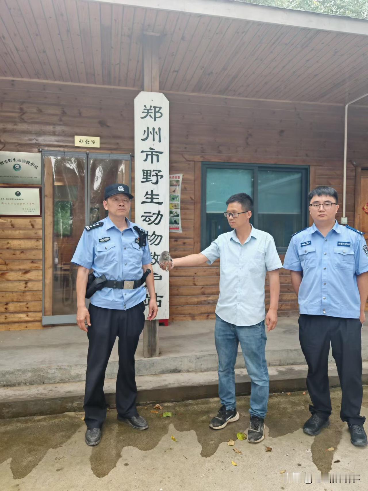 帽子叔叔不光帮咱老百姓，对这只幼鸟也爱心满满:
2026年6月18日，郑州市公安