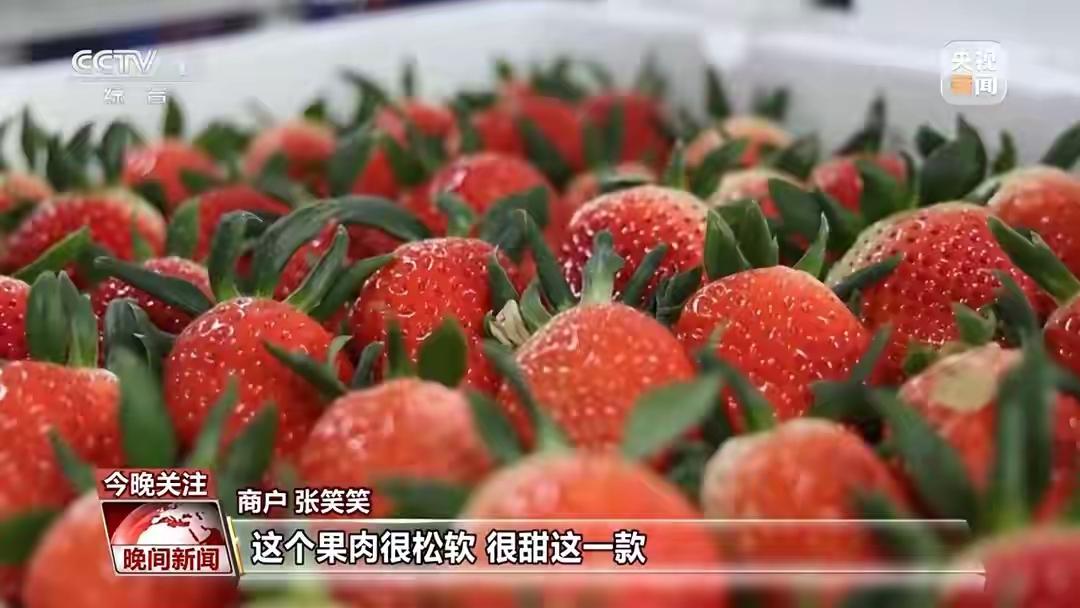 现在距离春节还有20多天，应季水产品、时令水果和新鲜蔬菜已经大量上市，丰富着百姓