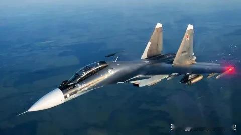 乌克兰海军报告，俄罗斯占领者在兹米尼地区损失一架 Su-30SM 战斗机


一