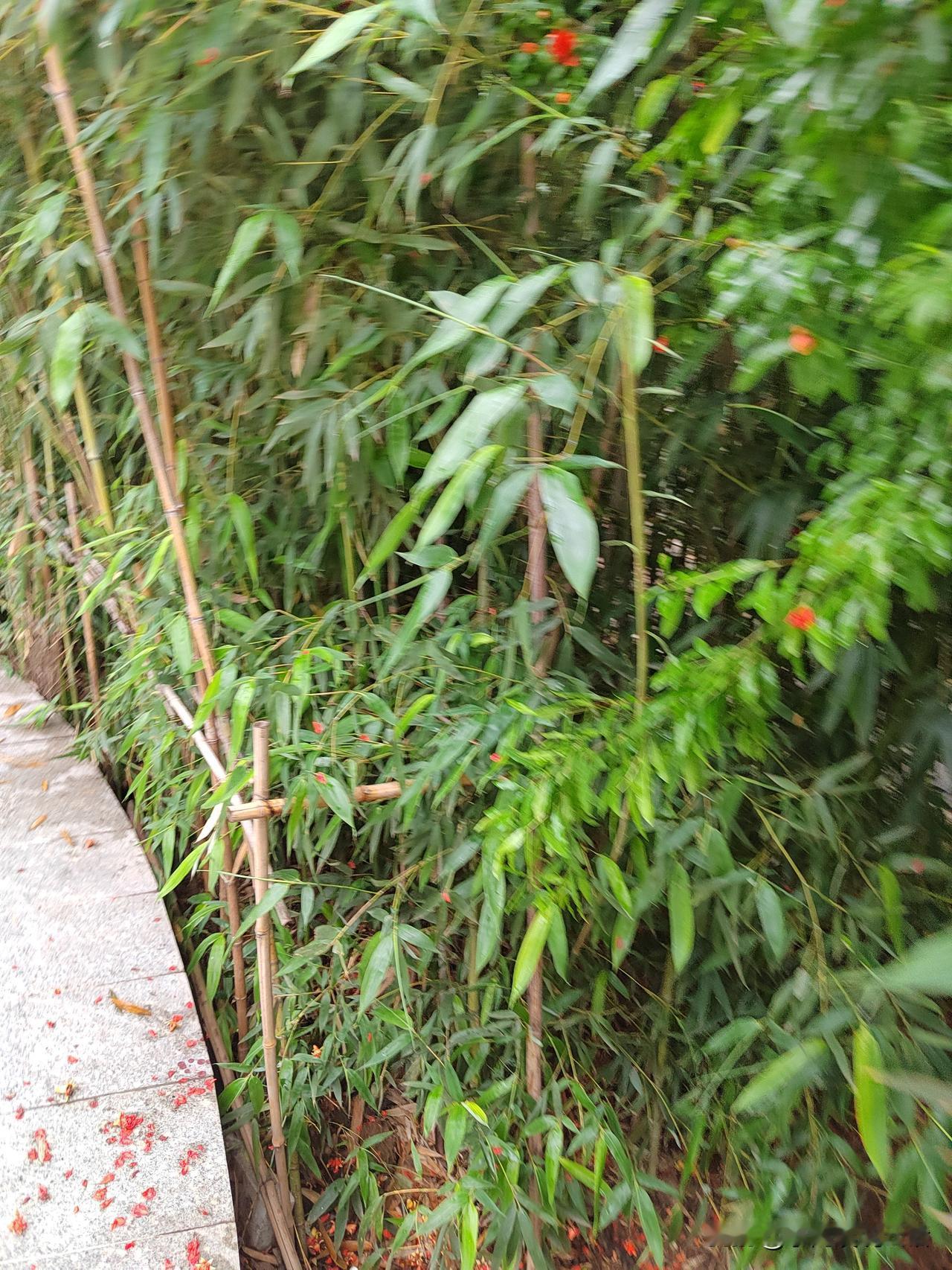 心，突然烦了！
头条收益刚出来，我看了一眼，心顿时烦烦的！
妈耶，努力的结果，又