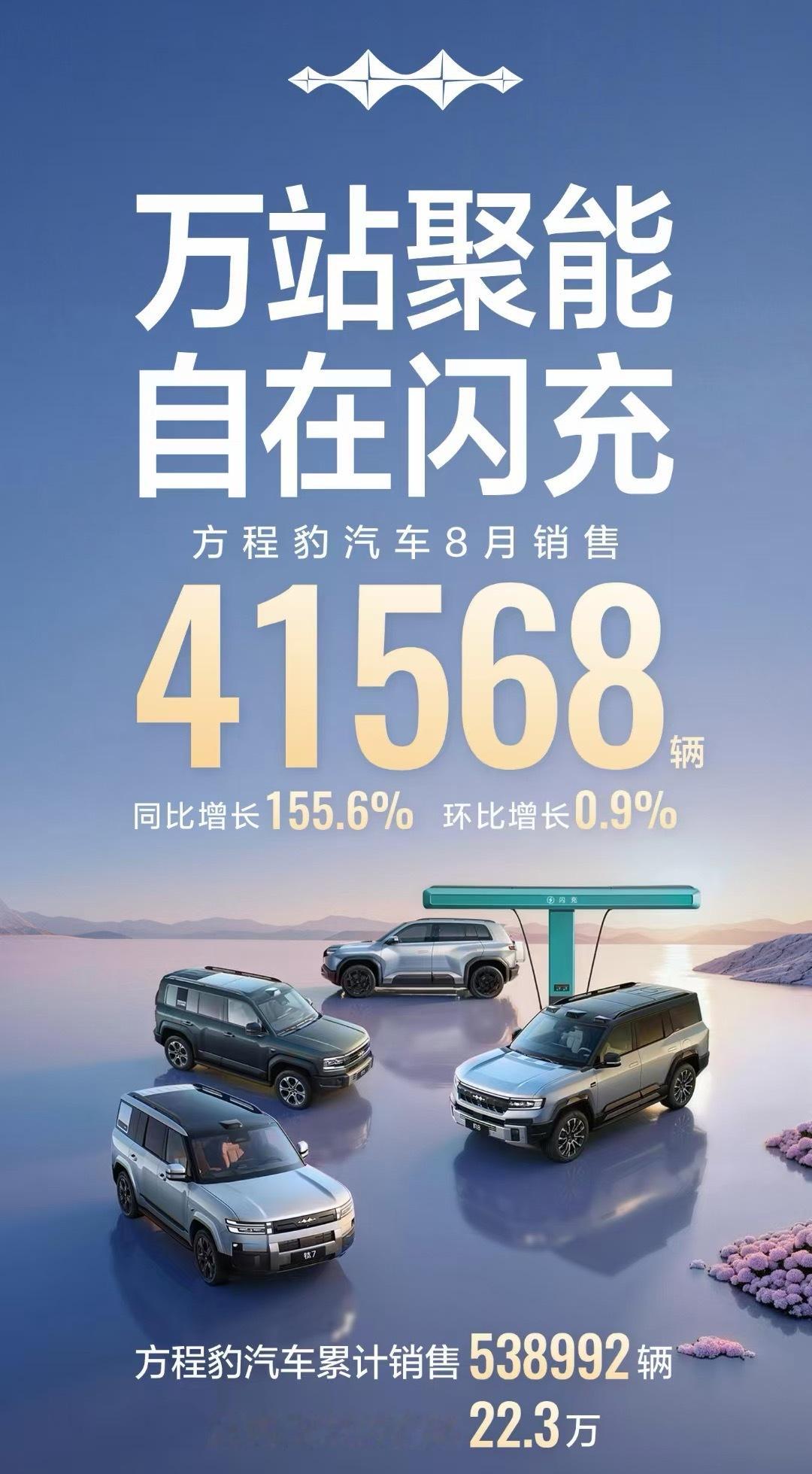 拆分出来看，方程豹一个品牌销量 41568 辆。我知道你想说什么，咱们不要对比，