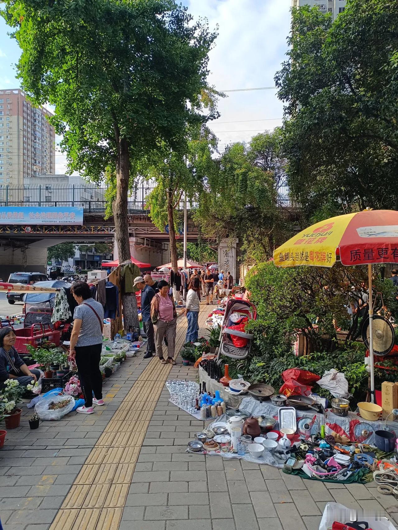 每周六周日上午红旗路铁路桥北的跳蚤市场，各种文玩，旧书，旧物应有尽有，值得一去