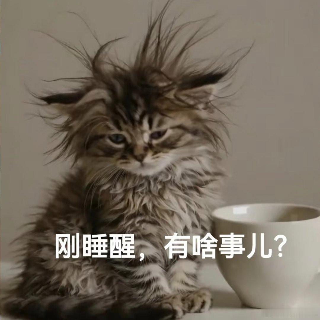 抽象搞怪的聊天表情包 ​​​