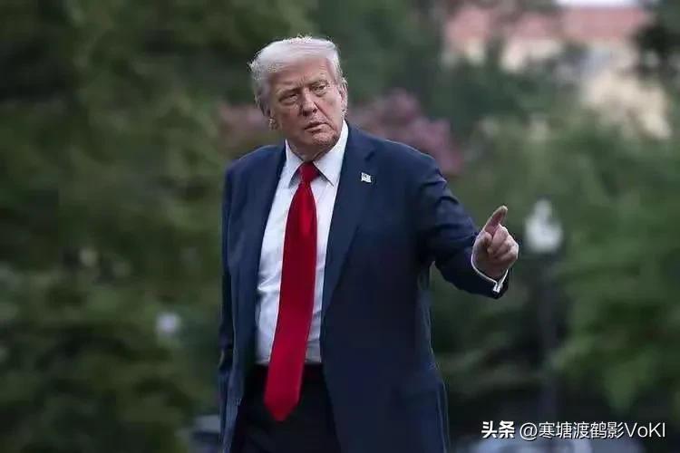 近日，特朗普活学活用伟人的话，多次把北约称为“纸老虎”。这个词本来是抗美援朝的时