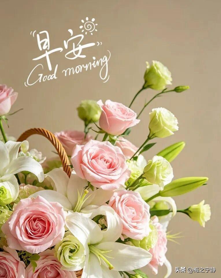 ☀️²⁰²⁶/₀₆.₁₁ ᵕ̈ᵕ̈ 周四愉快｜早安🍃🌸☕️🍒🍊
白日渐长