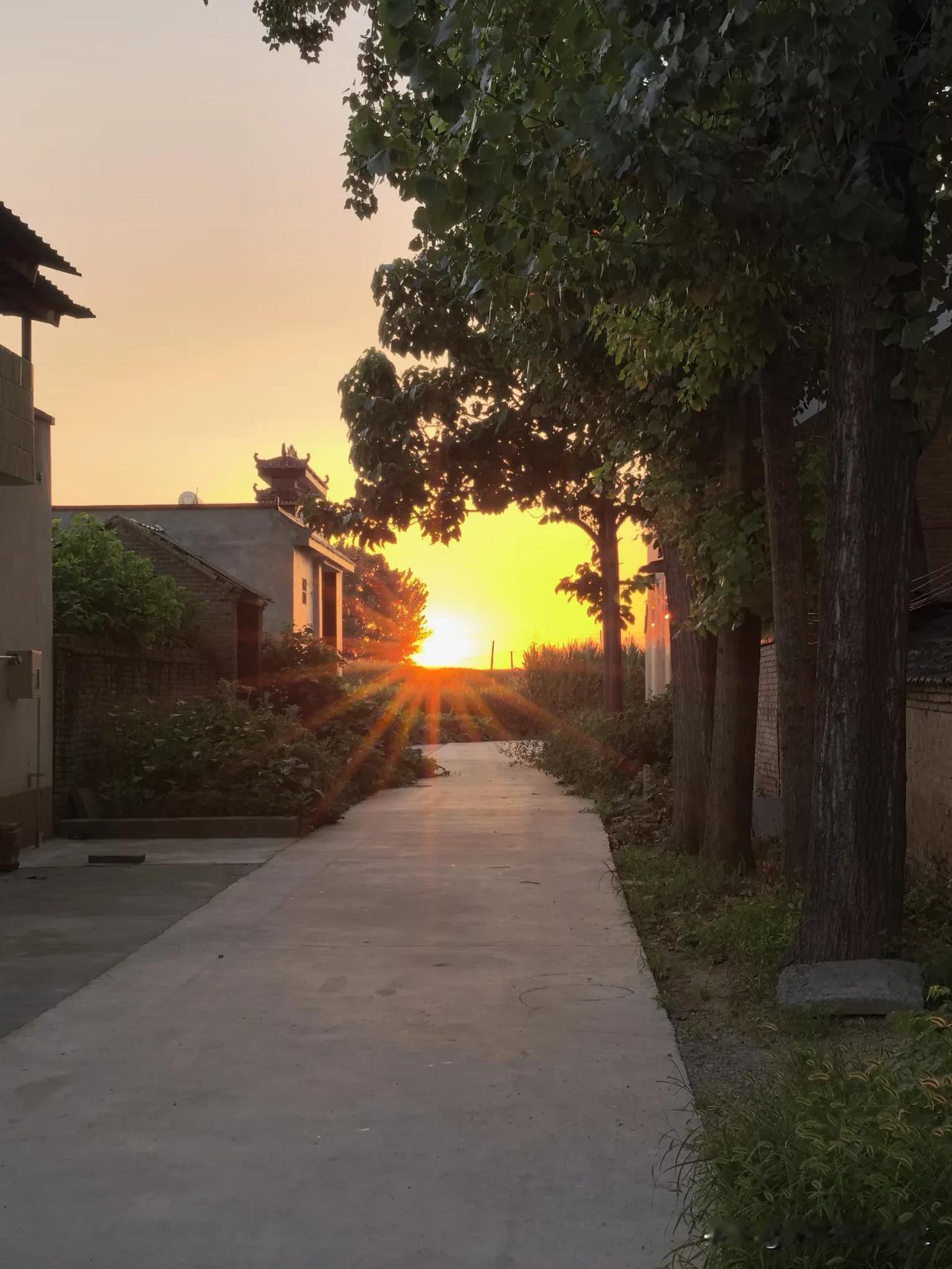 我们同村的阿东耳朵有点背。种地之余，他还搞了副业，在家里养了几头猪。

堂弟跟阿