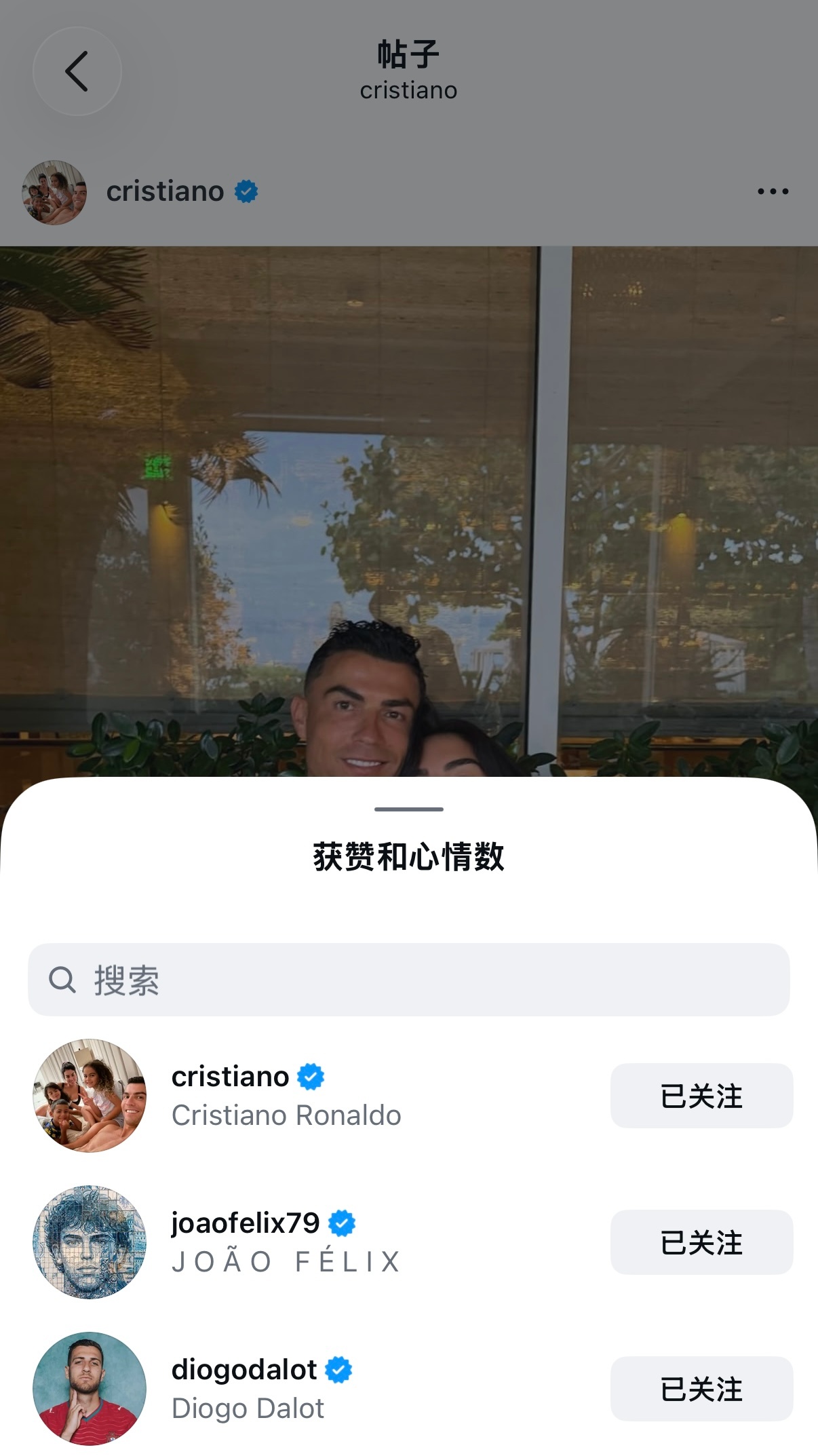 大孝子二孝子赞太快了吧。。 