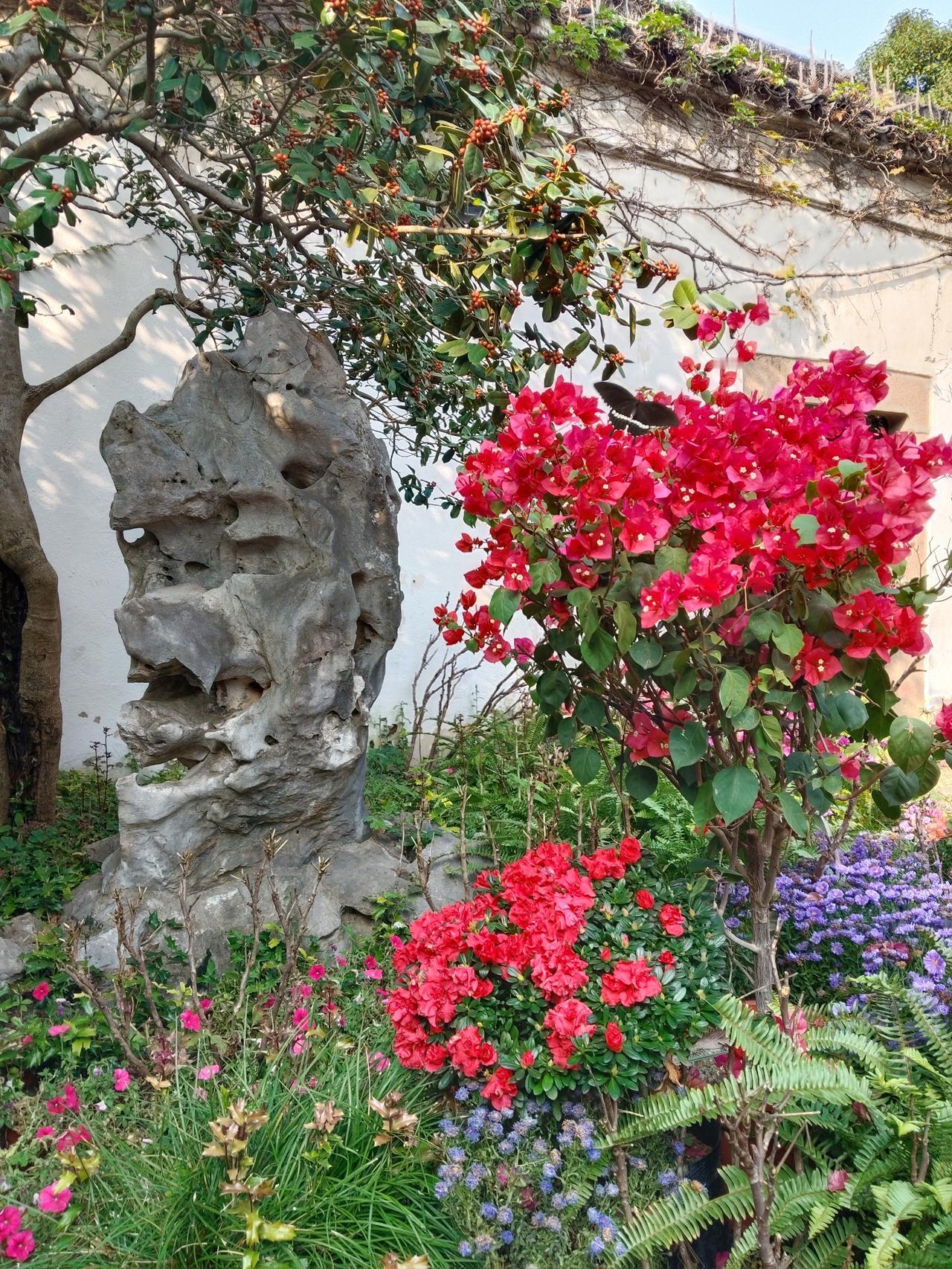 花粉季别只打喷嚏！它还可能变成“哮喘杀手”！

大家好呀！又到了每年令人又爱又恨