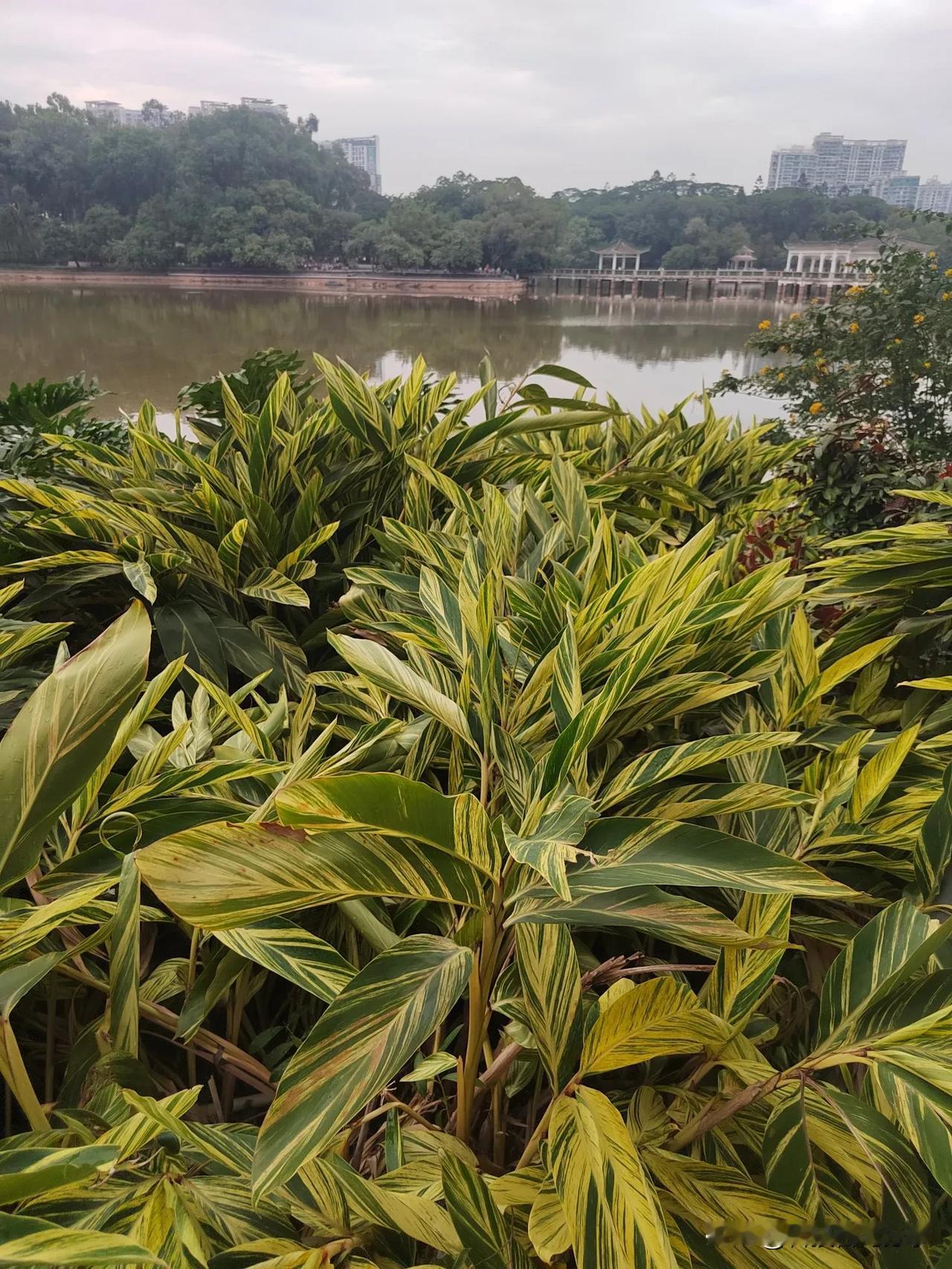 遭遇家暴后，受害者可能首先想到找熟人倾诉，但专家建议谨慎行事。家暴往往涉及个人隐