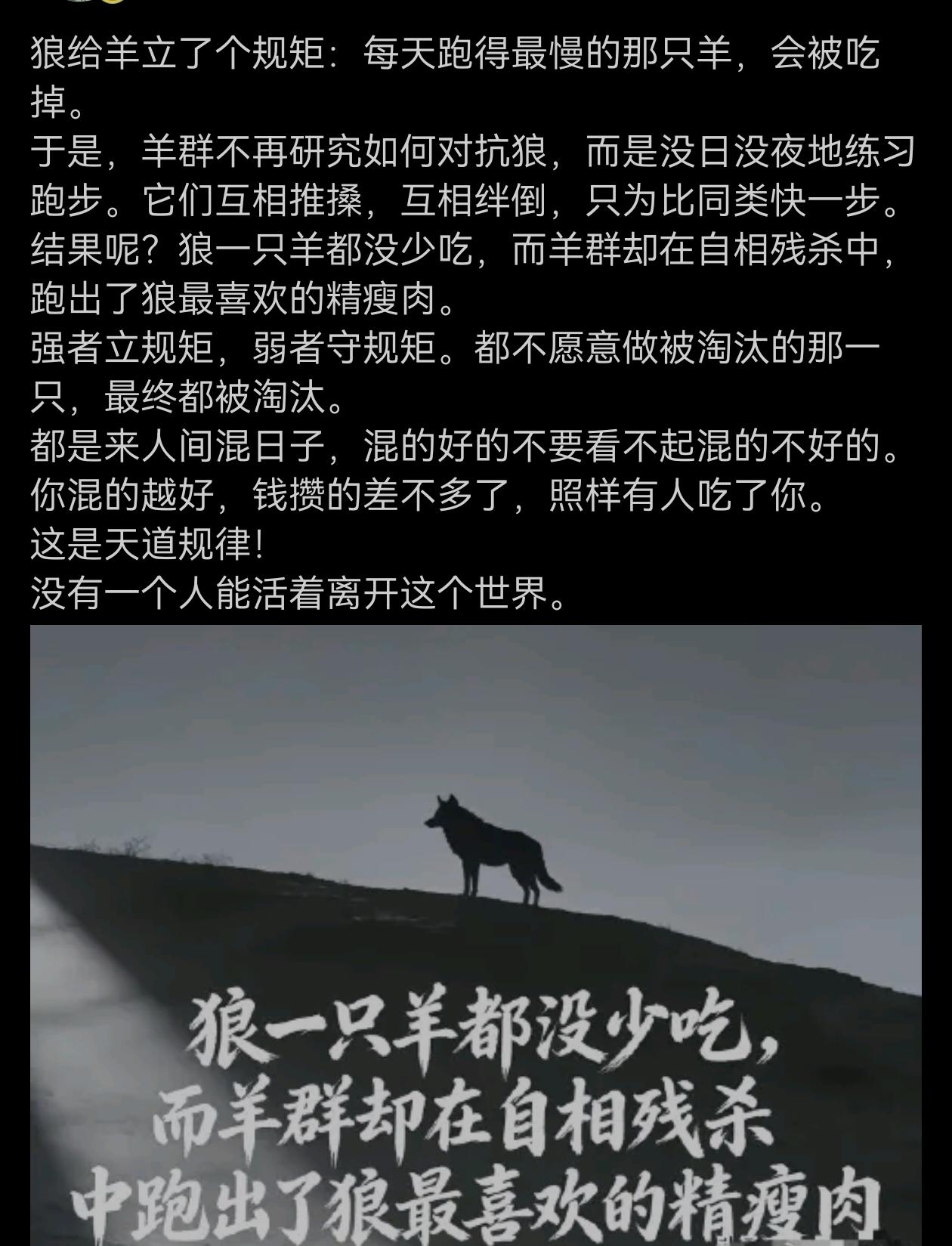 狼给羊立了个规矩：每天跑得最慢的那只羊，会被吃掉……