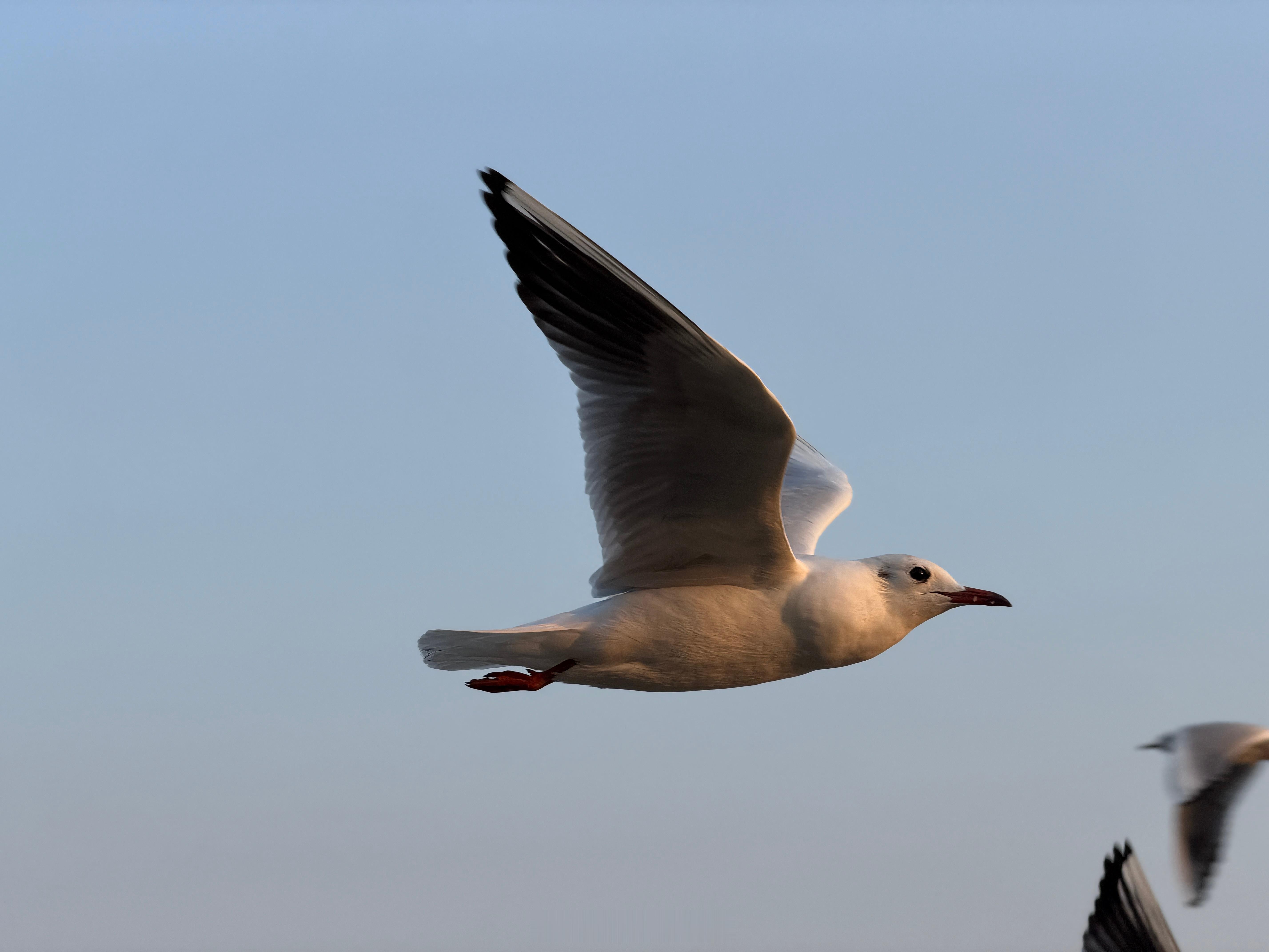 初三一定记得睡懒觉大年初三为啥要睡觉？明天刚好疯狂星期四，我就抽三位幸运儿，祝大