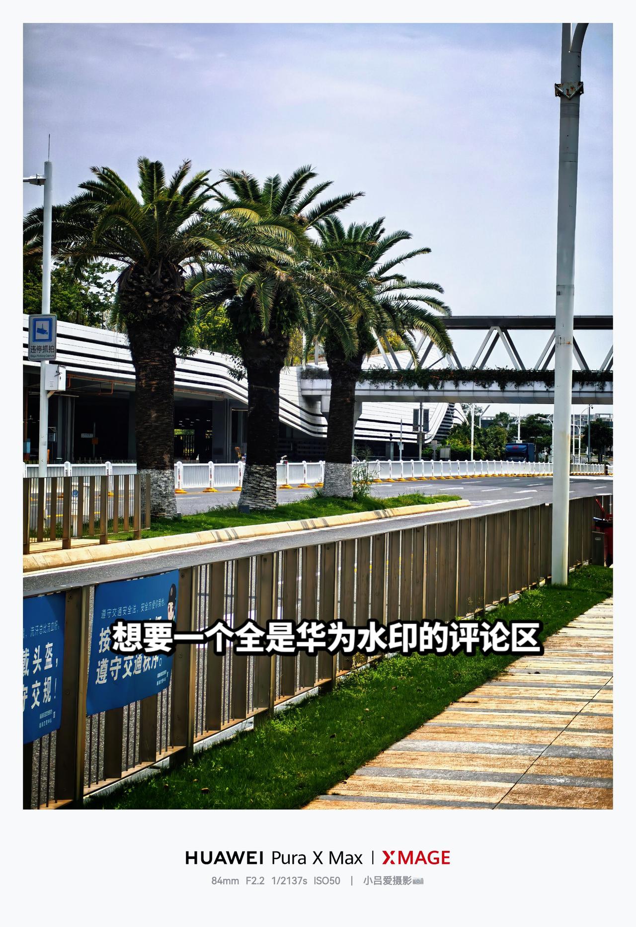 摄影风景都在路上氛围感红枫影像 华为PuraXMax