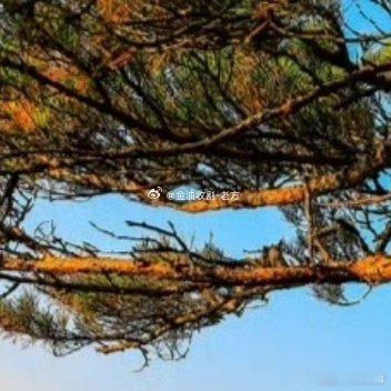 每日一善  世界上最幸福的事情，就是帮助别人一起成功，自己好不是好，大家都好才是