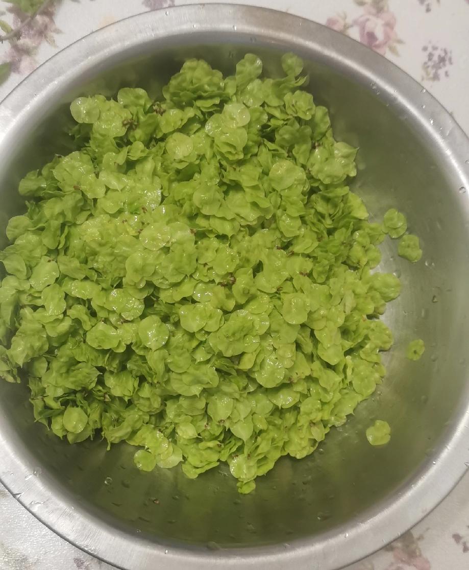 前几天出去玩，一不小心完成了我的一个小心愿。以前，每年初春时候，总会看见有人卖榆