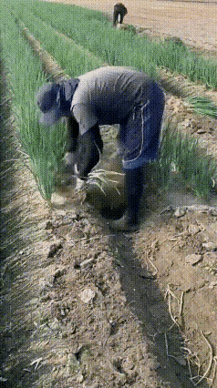术业有专攻，这效率是真的高