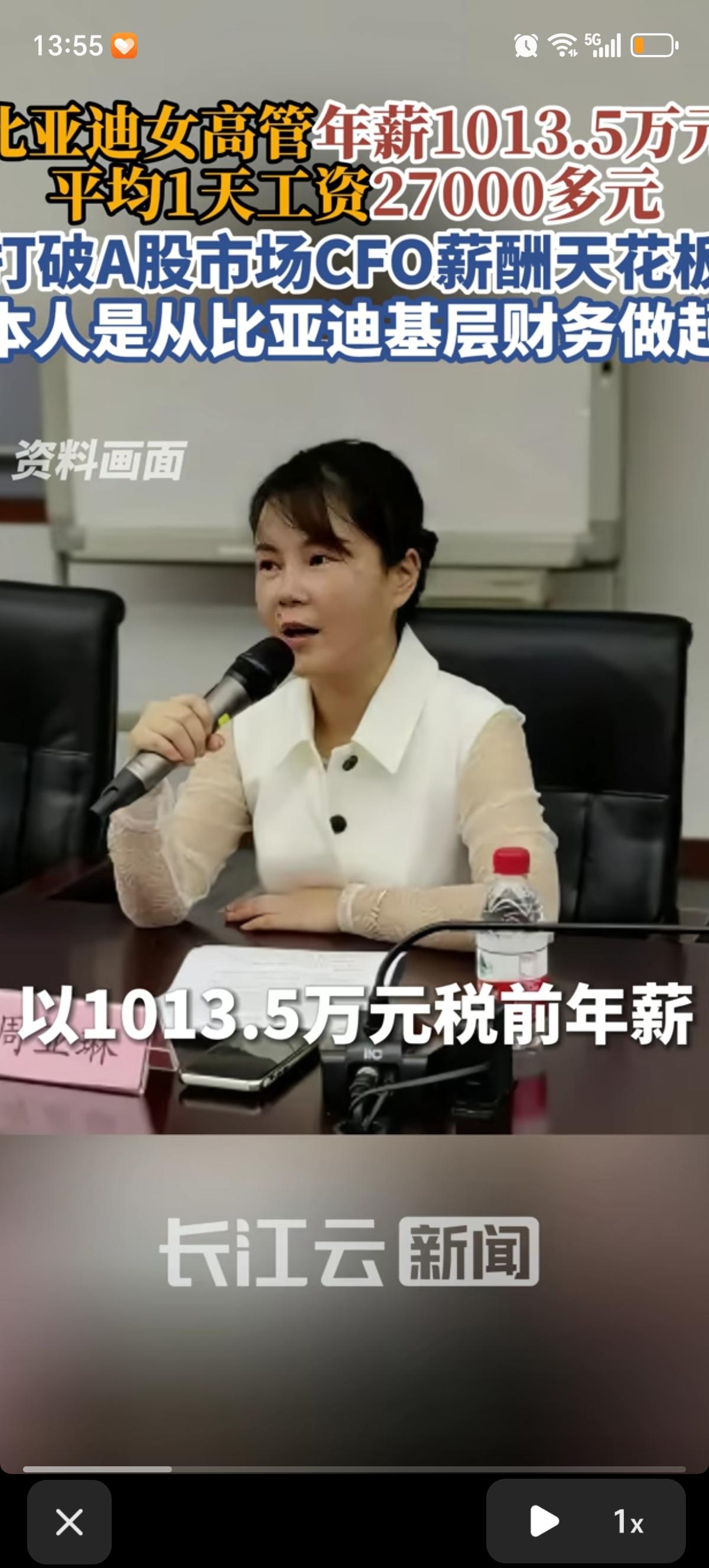 比亚迪高级副总裁兼财务总监周亚琳年薪1013.5万税前年薪。10年里年薪从134