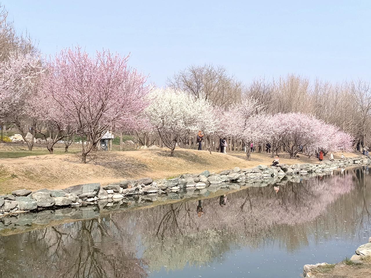 天气不错，有点小雾霾，但不影响我出去转转的心情。拿上手机，背上书包，圆明园遗址公