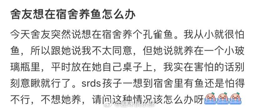 舍友想在宿舍养鱼怎么办 ​​​