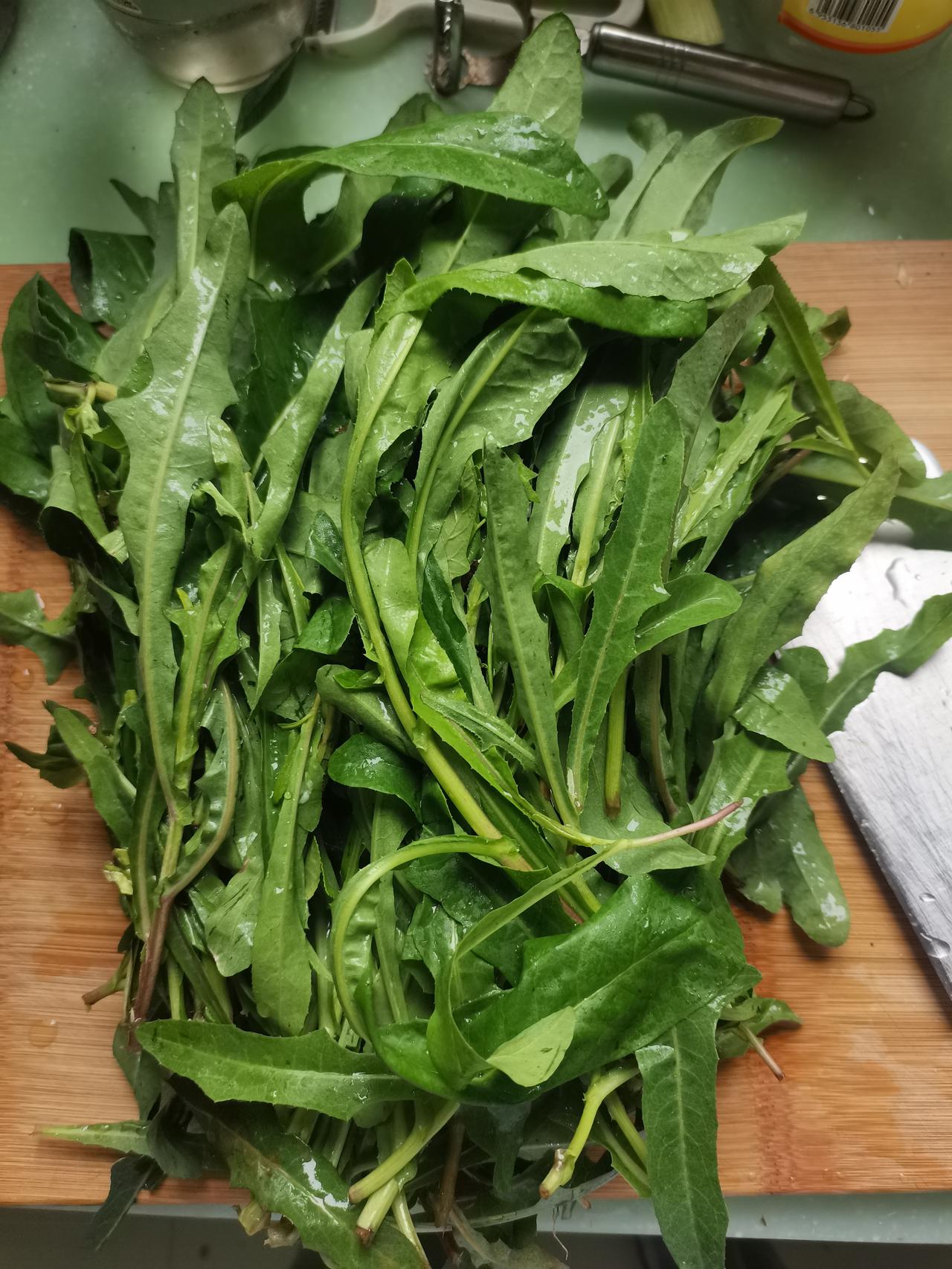 两个星期过去了，我忆起曾在那家卖瓜子的小铺门外，于草坪树丛中采摘过苦苣菜。经历了