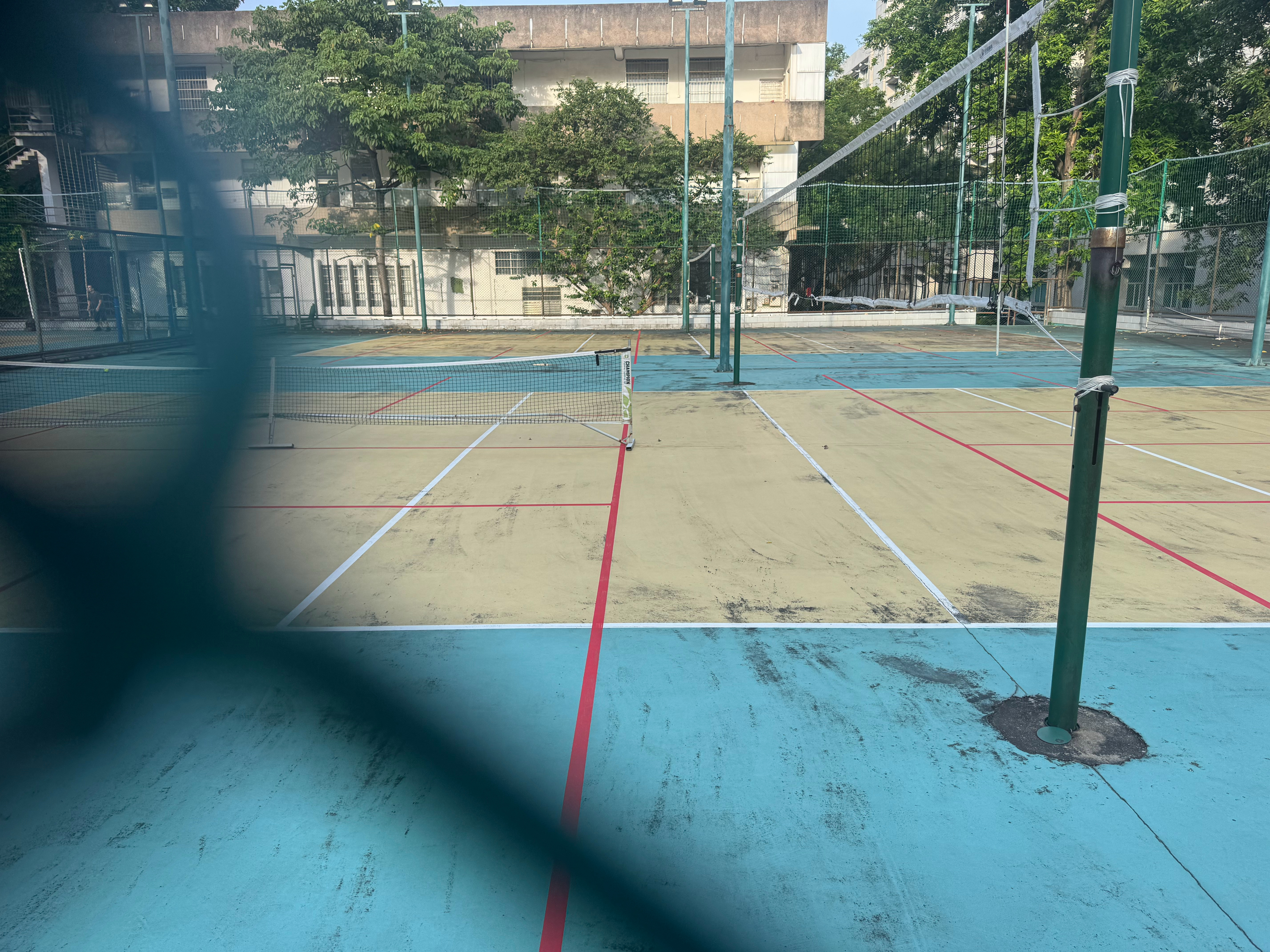 泥工的排球场已经被匹克球侵蚀了3/4这两年发生了什么 