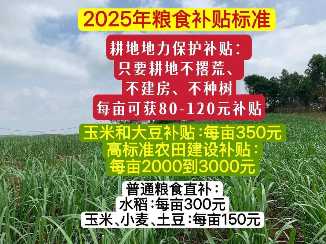 农村粮食直补钱村干部能代领吗