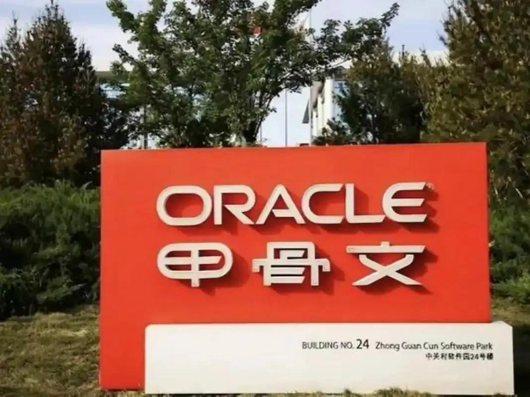 一家公司的净利润，一个季度暴涨95%，你猜他们下一步会干什么？
甲骨文给出的答案