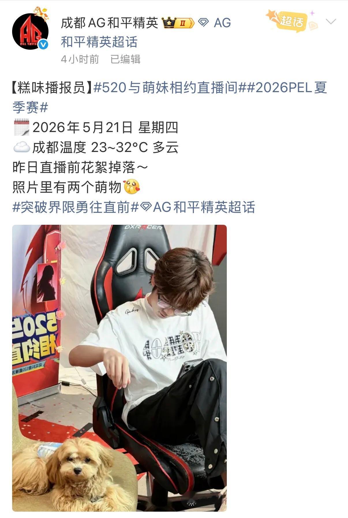 是花花不是画画  萌物驾到！2026pel夏季赛2026pel