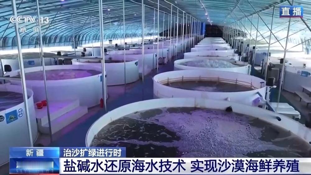 【“人定胜天”：塔克拉玛干沙漠里成功产海鲜】
    塔克拉玛干沙漠产海鲜的核心