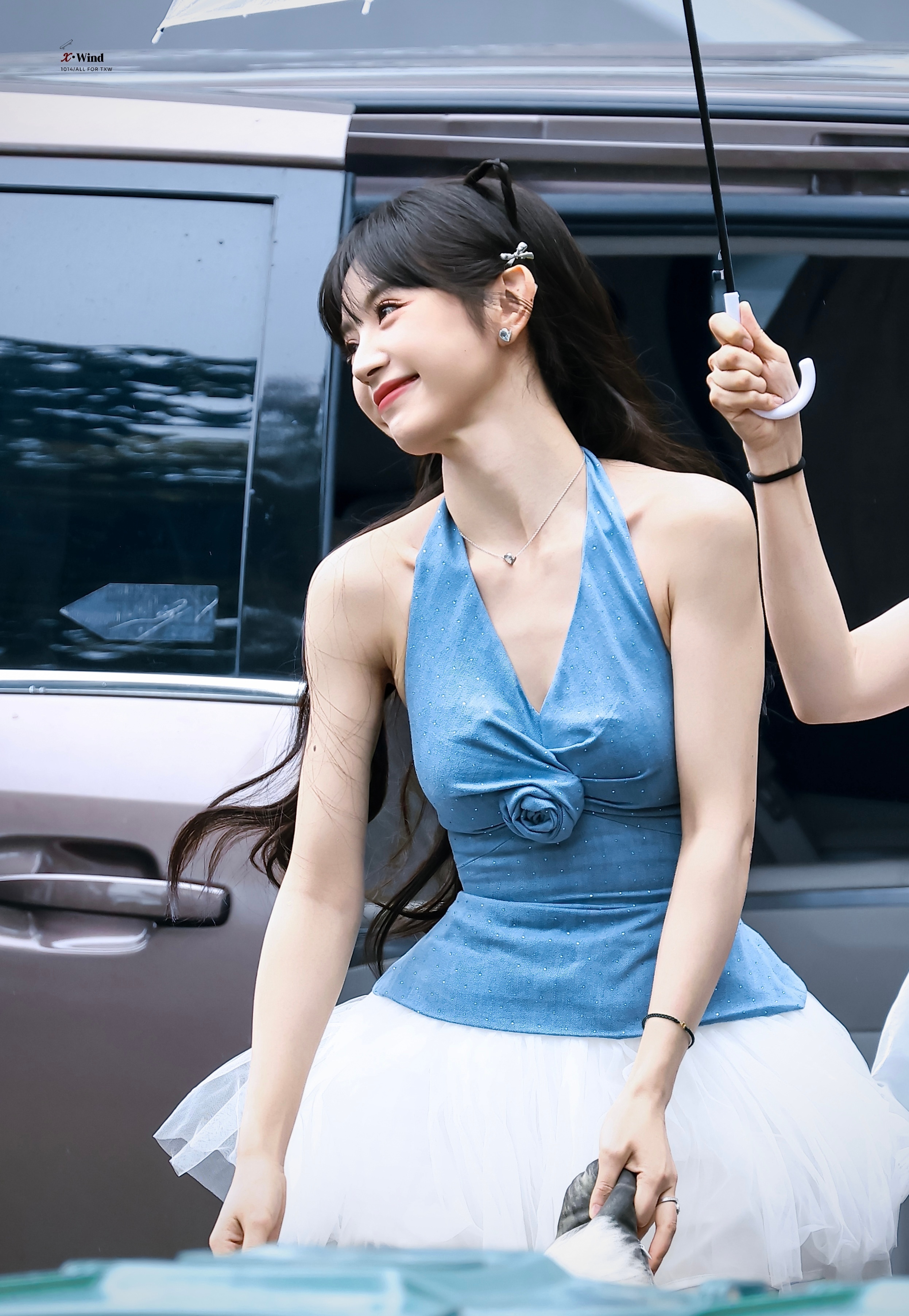 好明媚的芭蕾小猫 ​​​