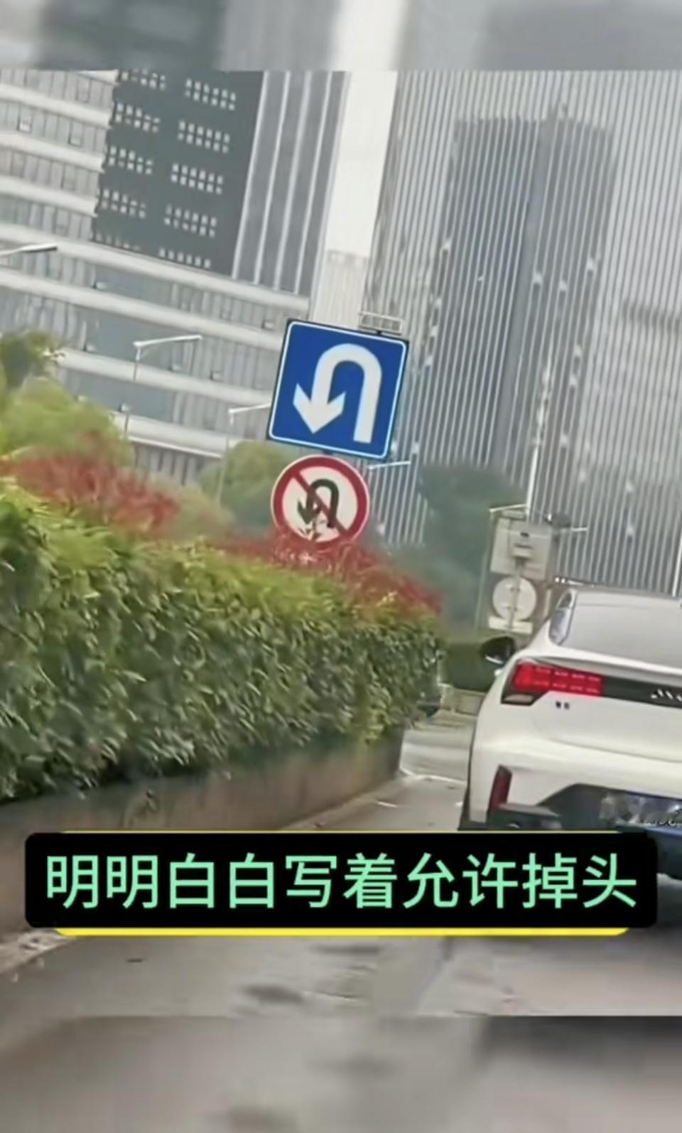 蓝牌允许调头，红牌禁止调头。我到底是调头还是不调头？交通规则违规 左转标志 左转
