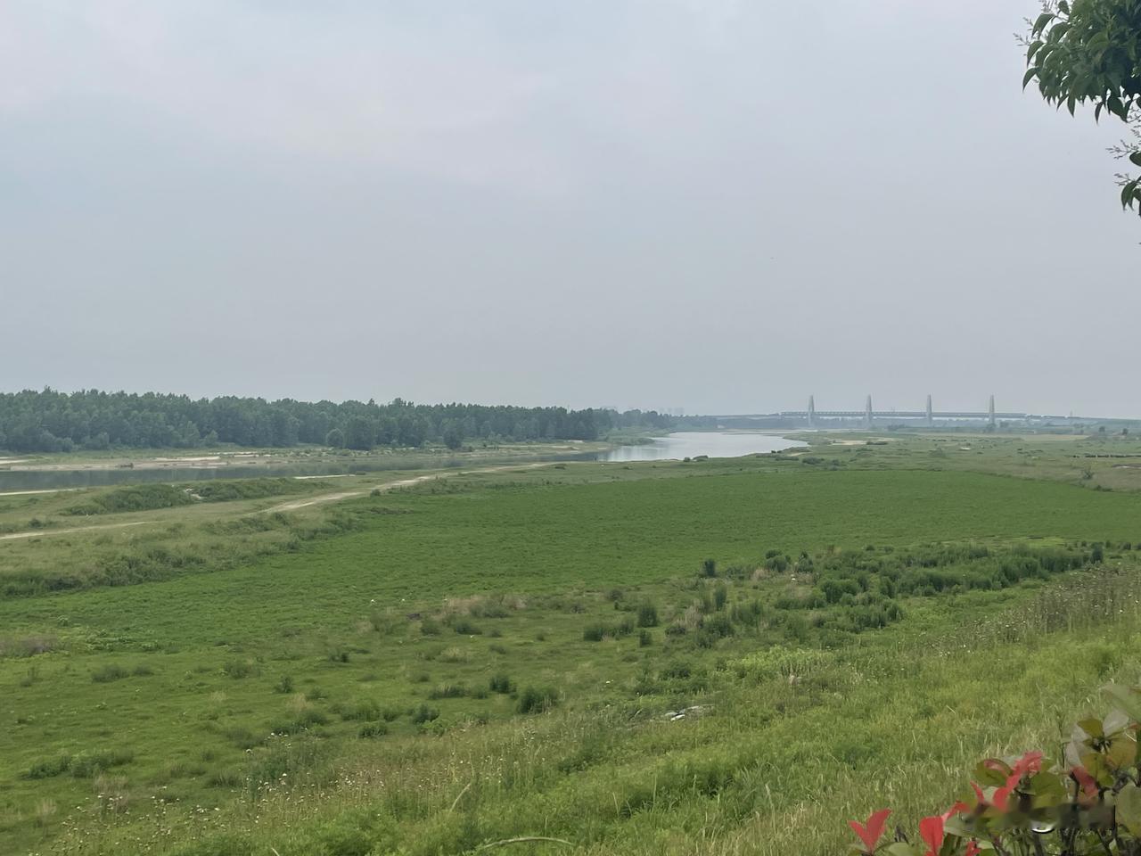 【七绝•时光一去】
时光一去不回头，夏至来临叶自稠。
莫与春风说往事，春风亦有内