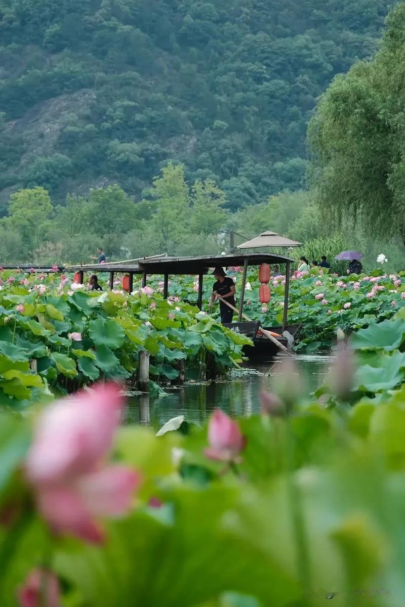 下联：  夏荷映日小艇浮。