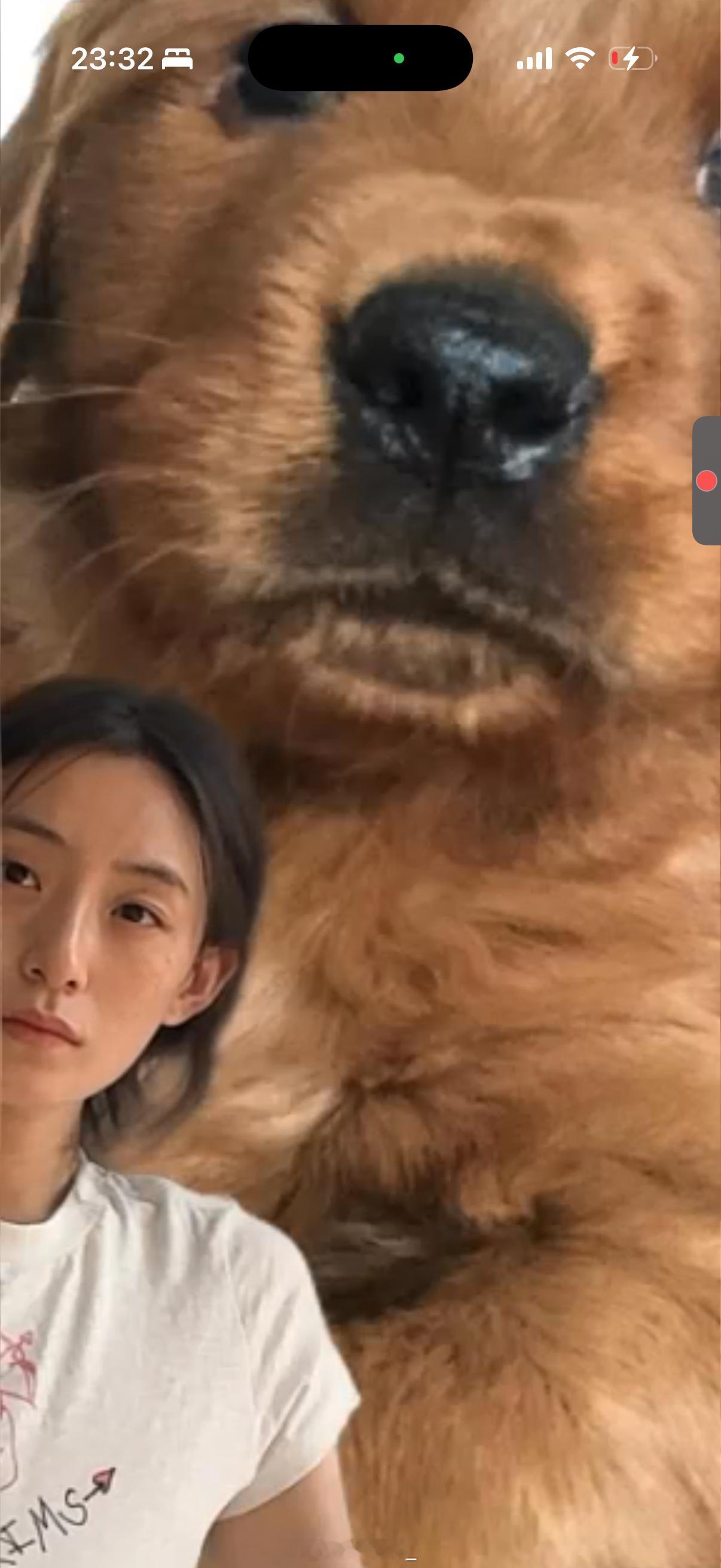 哈哈哈哈视频什么时候能改背景的 