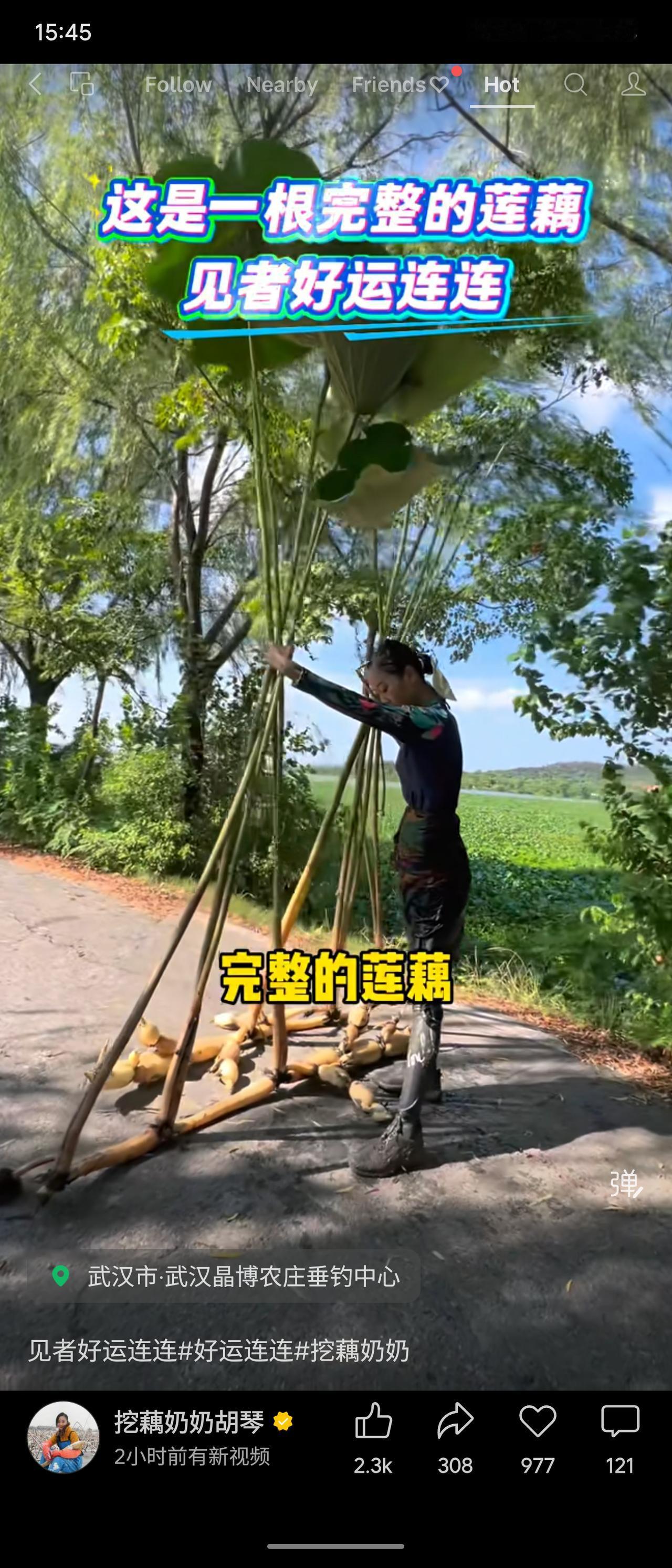 一根完整的莲藕，寓意“节节贯通、好运连连”。它深埋淤泥却洁白如玉，恰如生活：唯有