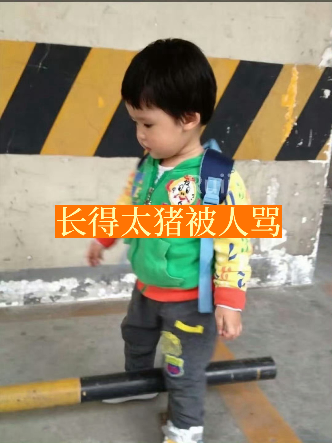 猪？噢你是说张奕然是猪吗？这不是显而易见的吗？哪里猪到你了吗？ 