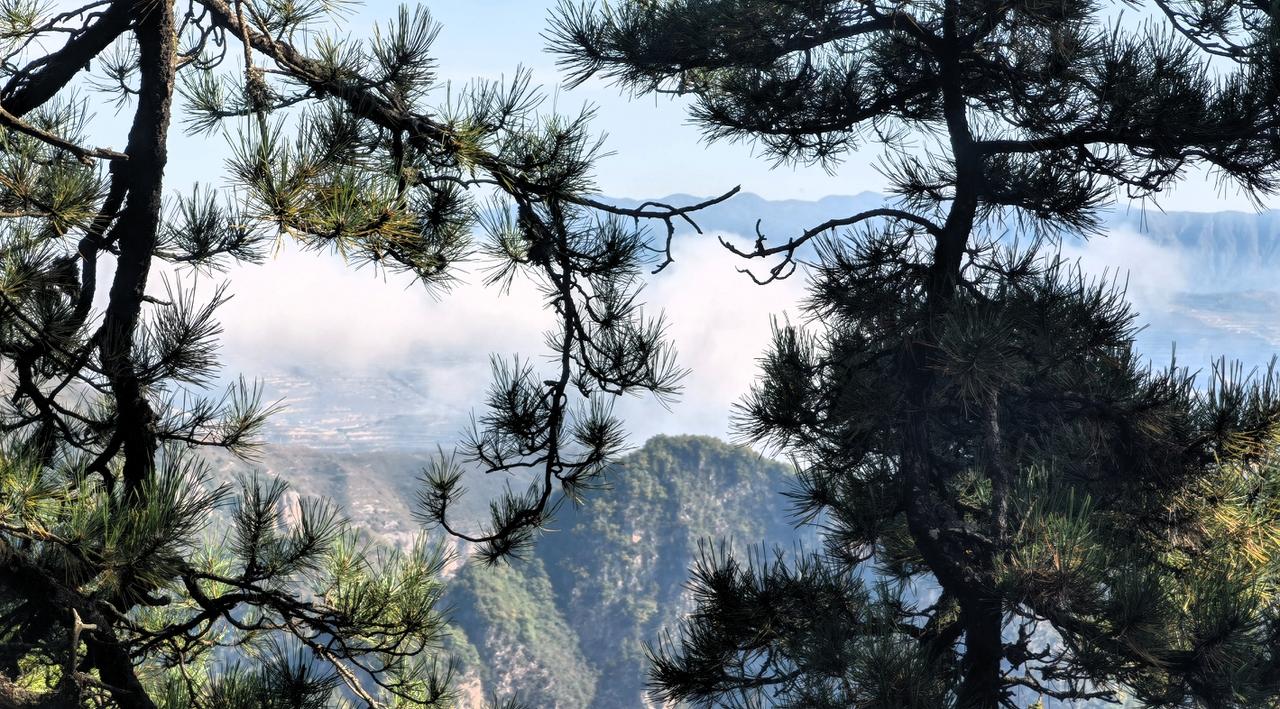 山间松树间，云雾缭绕，景色宜人。