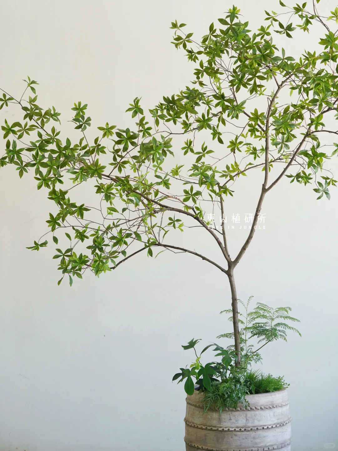 植物组盆|纯手工制作仿真绿植组盆