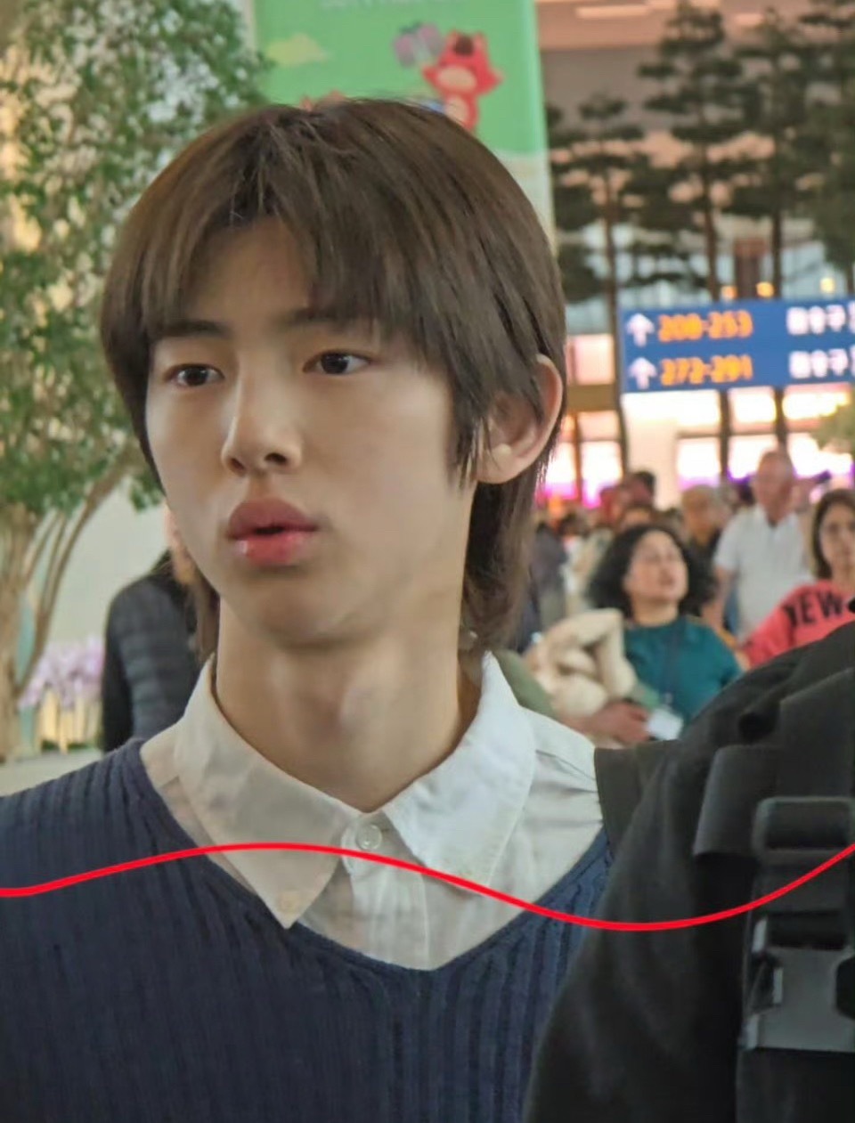 守护全世界最坏的猪墩感 