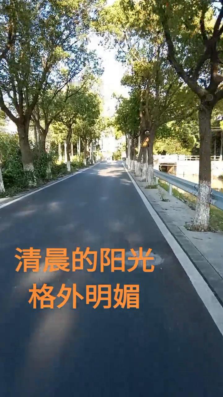 清晨的阳光格外明媚。