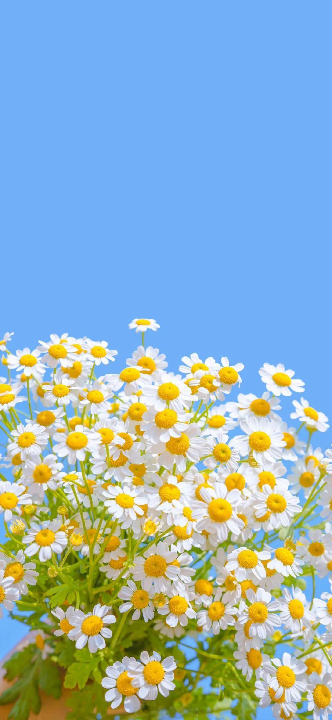 他请她进来，她替他打开门，因此得见天光。——《女配的魅力》早安 言情小说推荐