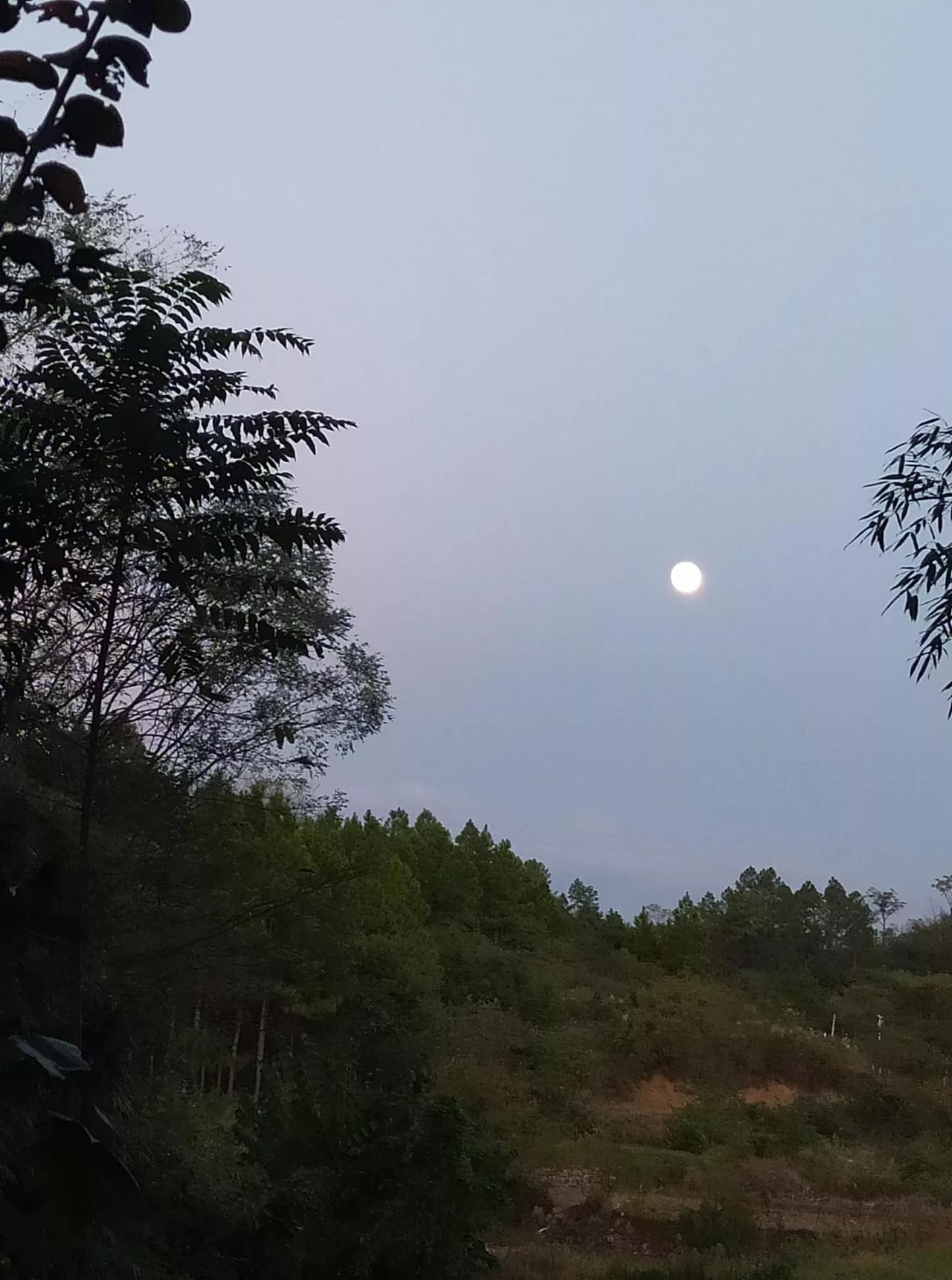 秋光漫过篱笆，明月悬挂山头，又是一年一度的中秋佳节

愿我亲爱的粉丝朋友们，日子