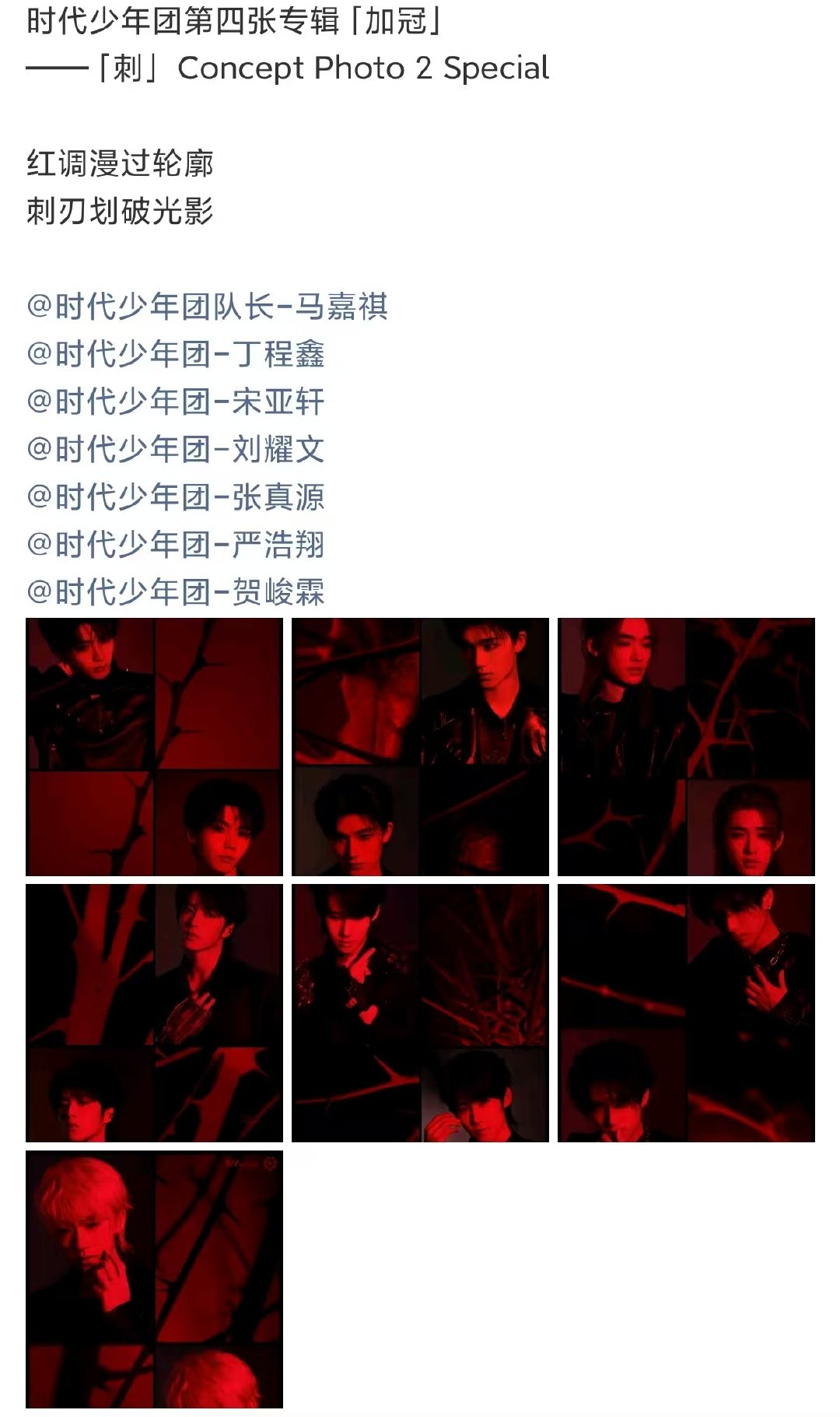 时代少年团红刺概念照 时代少年团红调大片 时代少年团红调大片来啦 