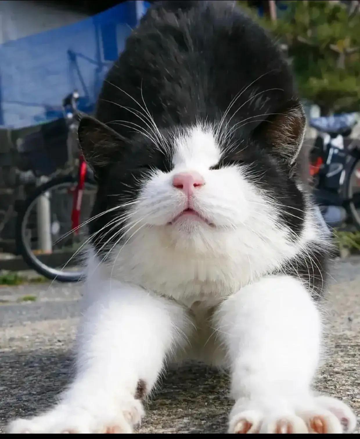 来，比谁的翘臀好看？