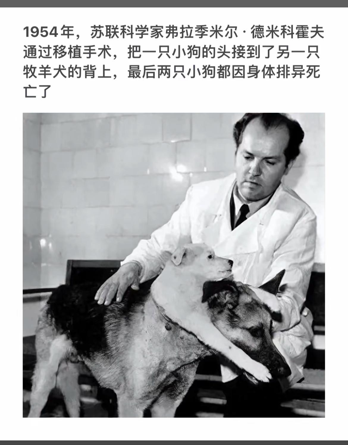 “1954年苏联科学家的惊险实验：小狗头部移植，结果令人震惊”🐶🔬💔