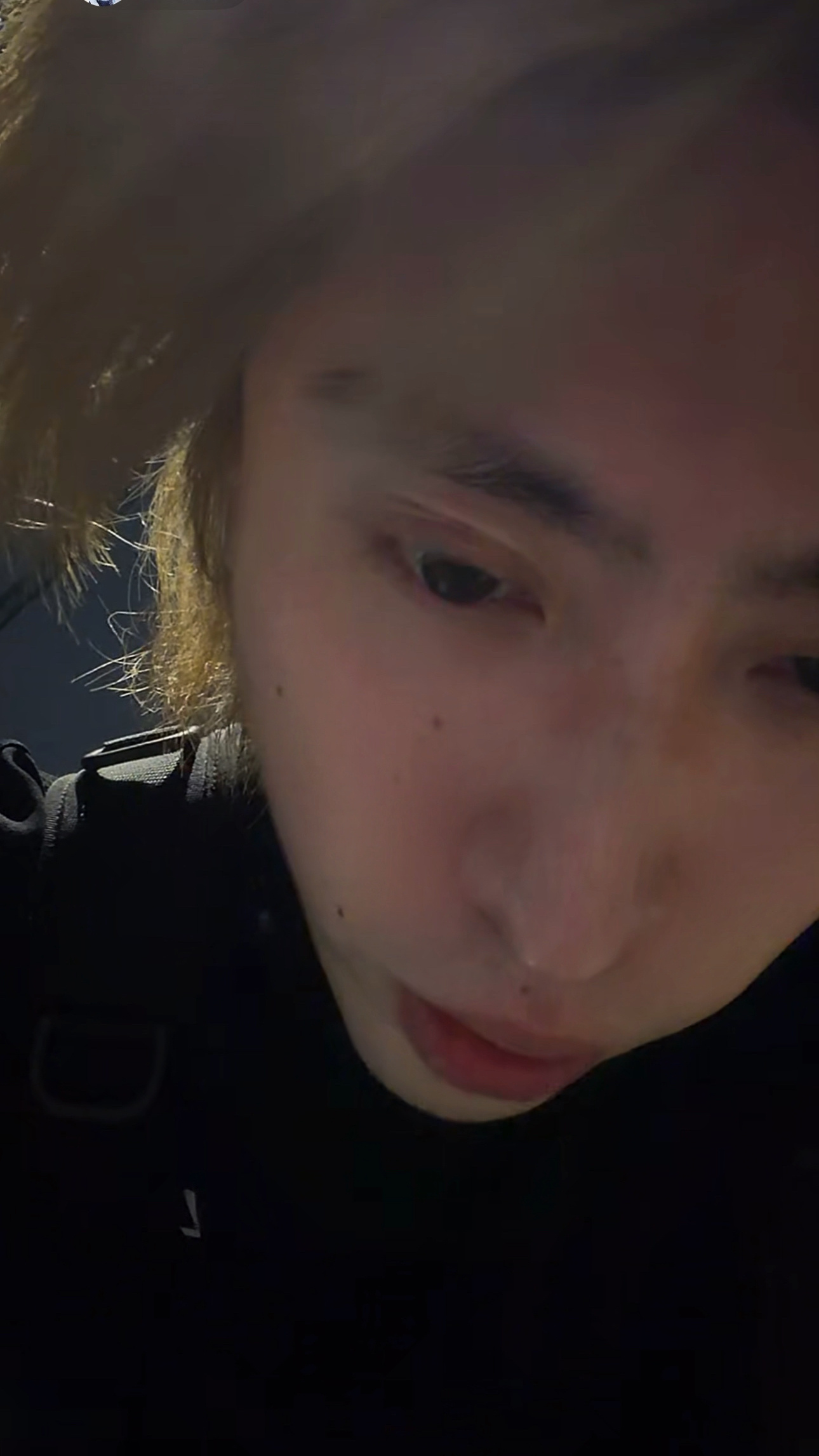 蒋易染了毛之后好舒适 完全大兔子