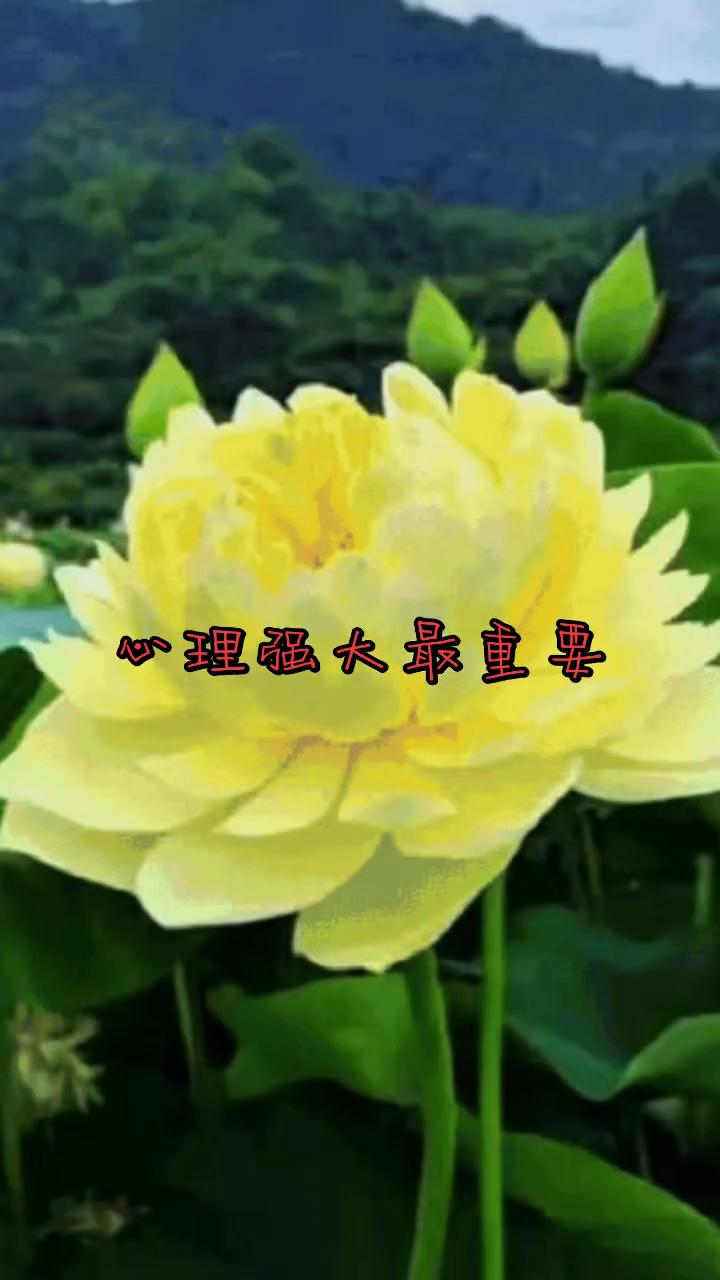 真正见过世面的人不是去过多少地方，而是能安放好每一种处境。上能与帝王同坐论道，下
