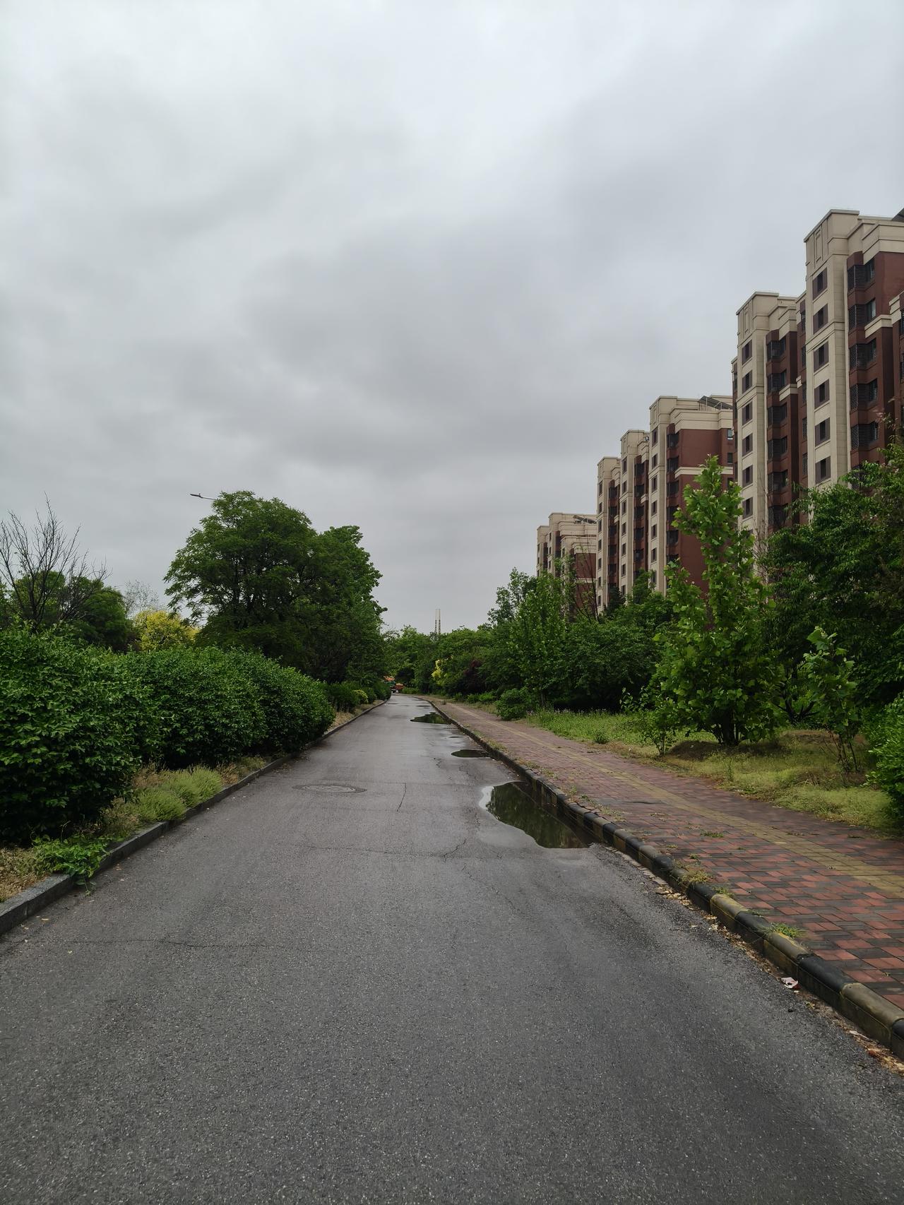 昨天我们天津下了几乎一天一夜的雨，雨不小，到后半夜的时候雨点也挺密集，气象部门都
