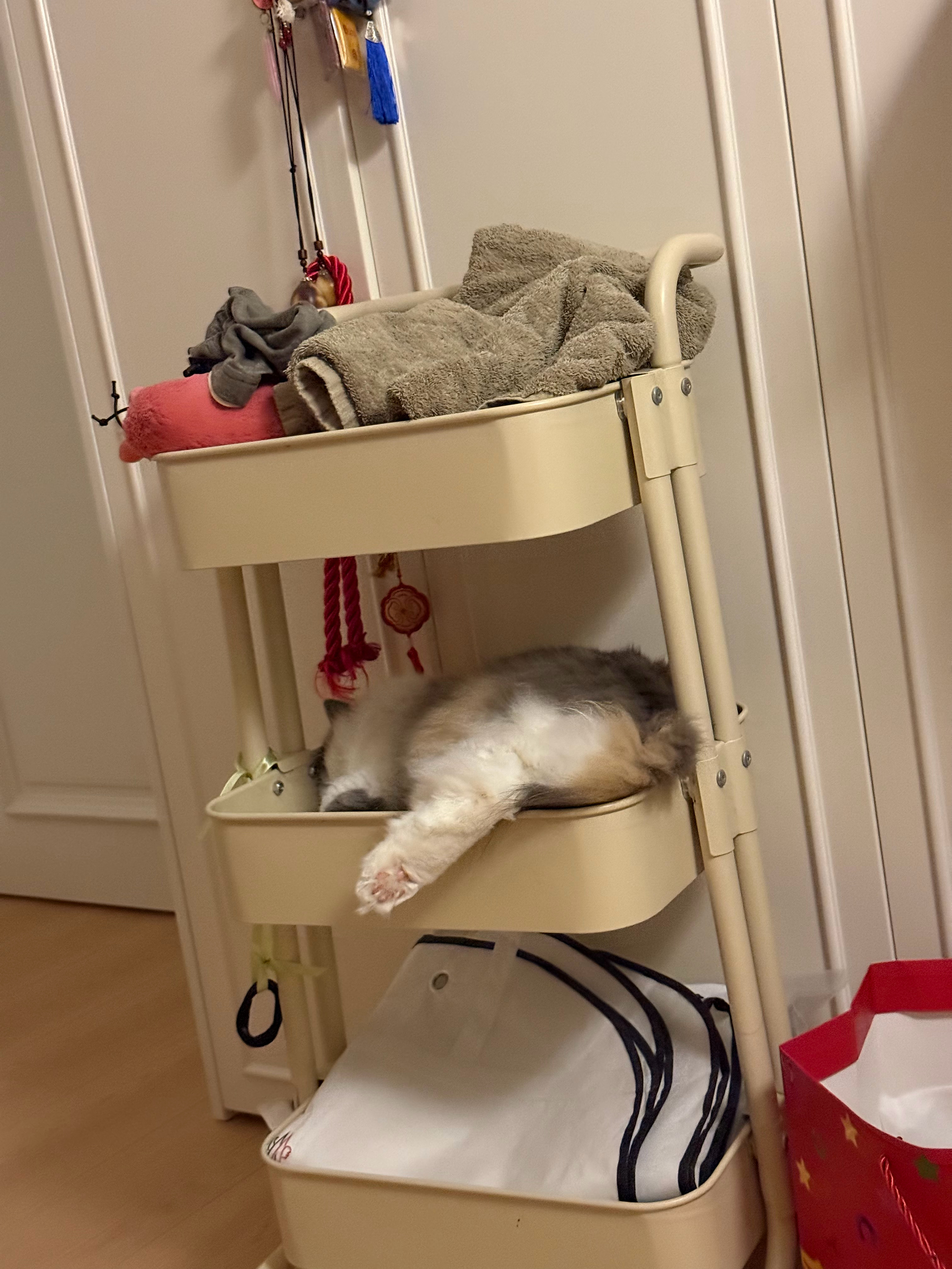 这样也能睡一晚上