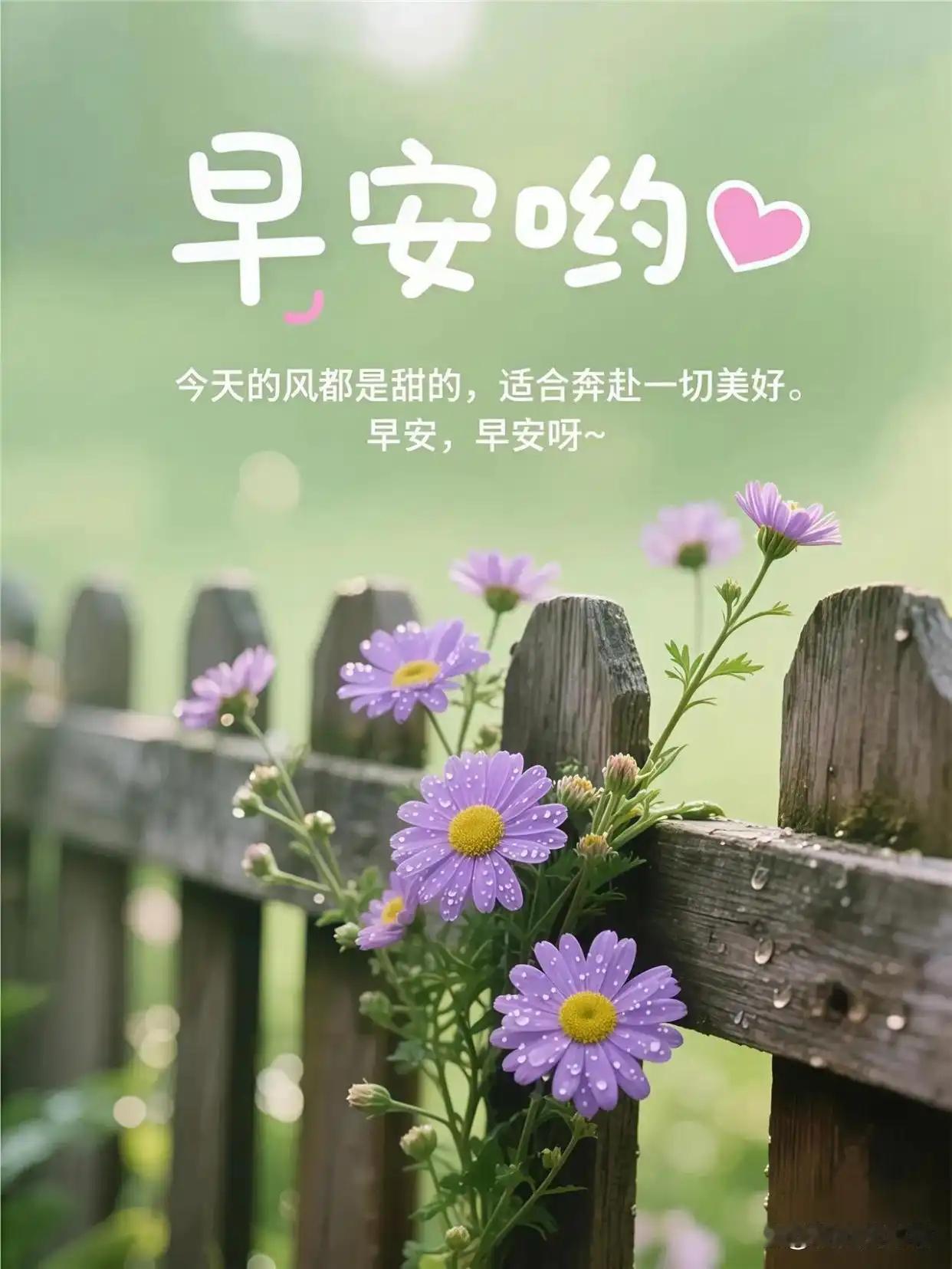 早安！人生所有的底气，都源于日复一日的自我打磨。    当遇见了一个很好的人当老
