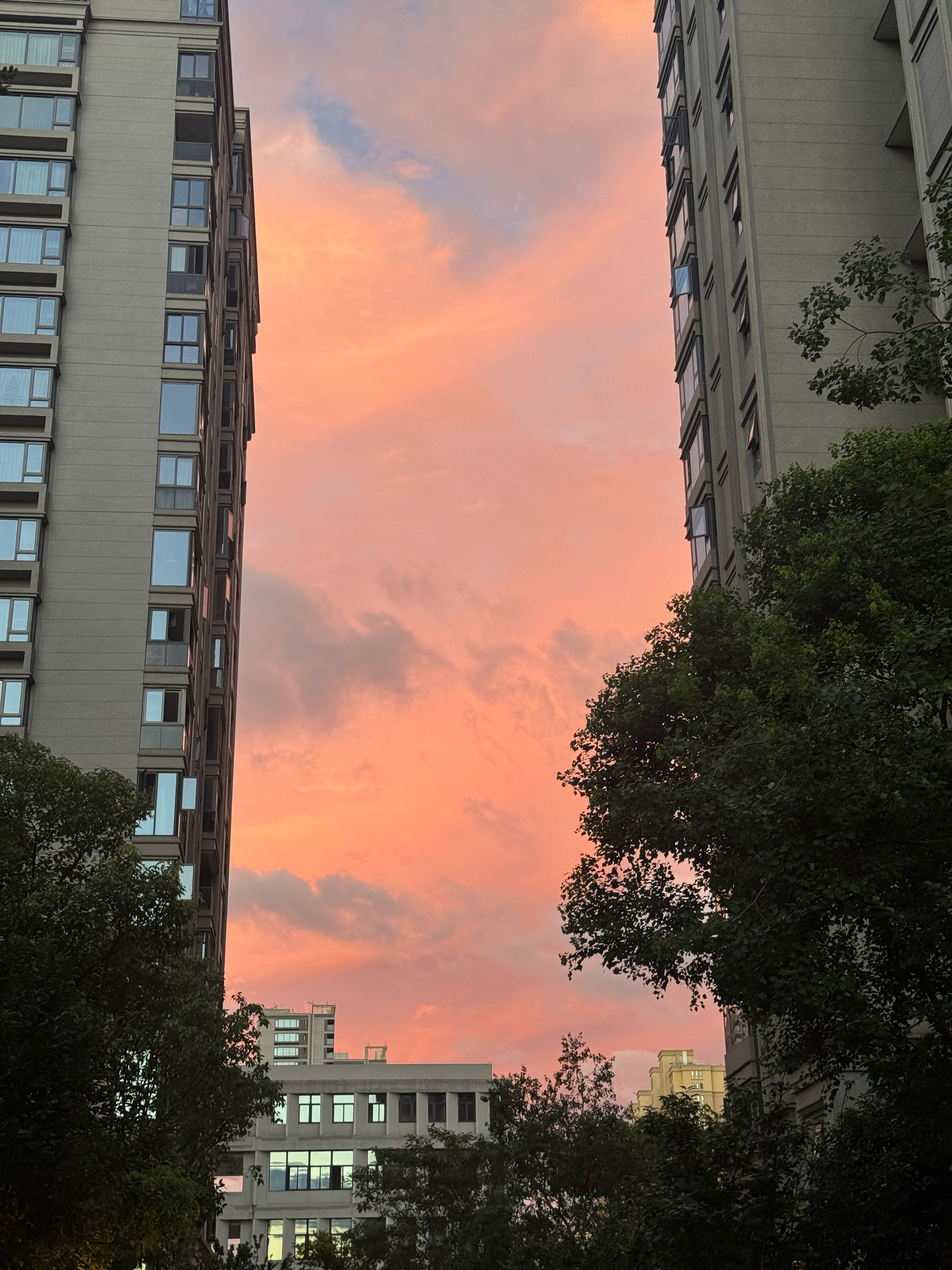 分享图片 ​​​